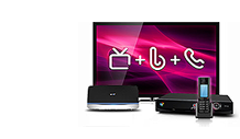 bt vision youview netflix